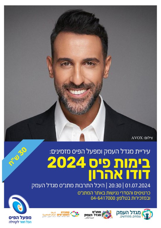 דודו אהרון - המופע 