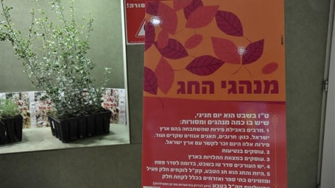 טו בשבט 2019 (48).jpg