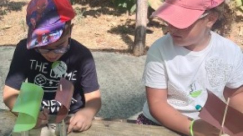 3df1cd5c-8215-4013-8f49-4a21b635b21b.jfif